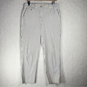 Talbots Cream and‎ Brown Seersucker texture Chinos Timeless Striped Design Sz 10
